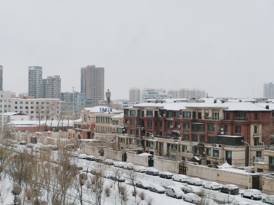 我看“春风”拂来的沈阳