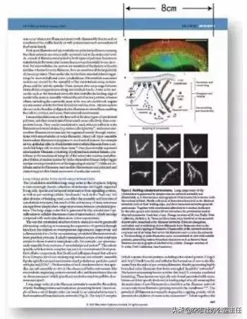 医学sci论文插图教程,sci论文小插图