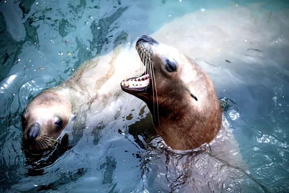 五一威海旅游最新攻略,威海五一旅行攻略