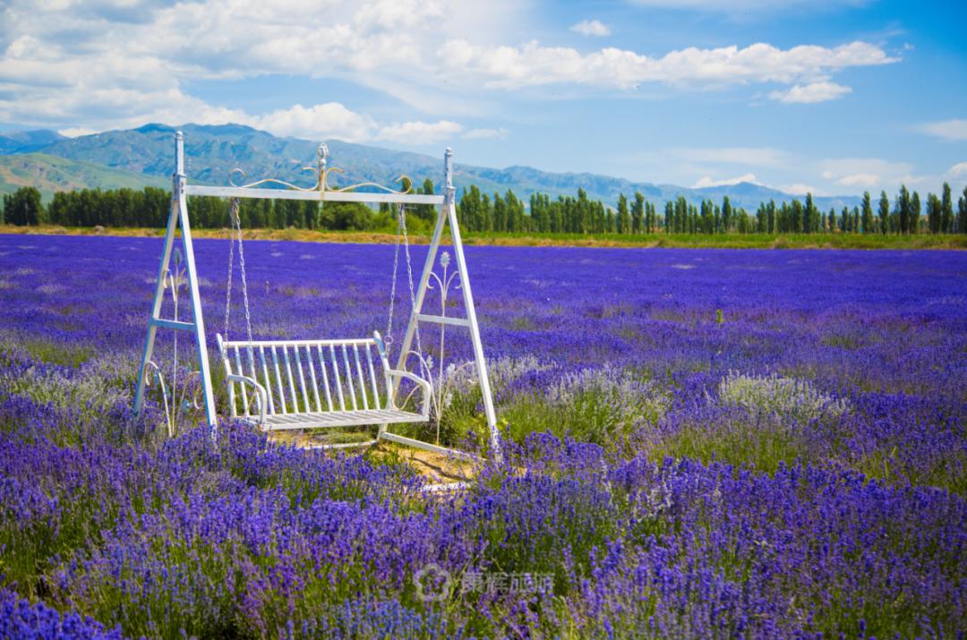 旅行中的故事讲述,旅行过程中的故事