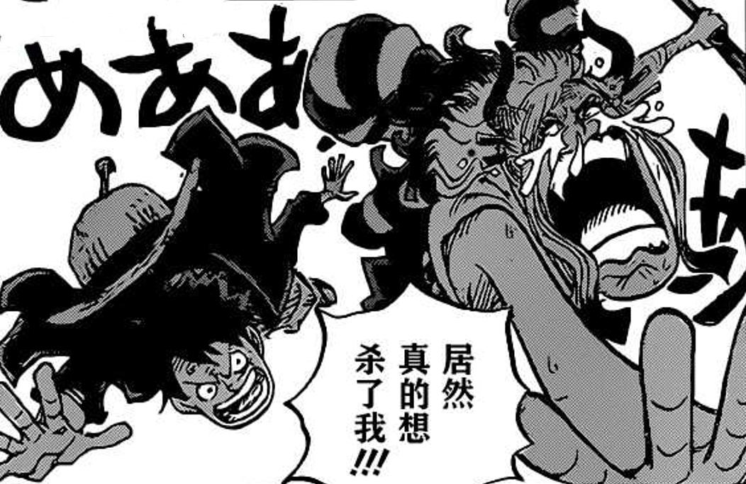 海贼王大和最终的结果,海贼王大和为什么恨凯多