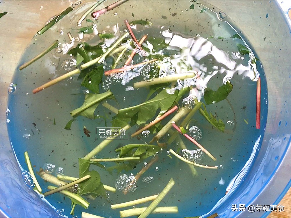 蒲公英野菜什么人不能吃,蒲公英是清热下火的吗