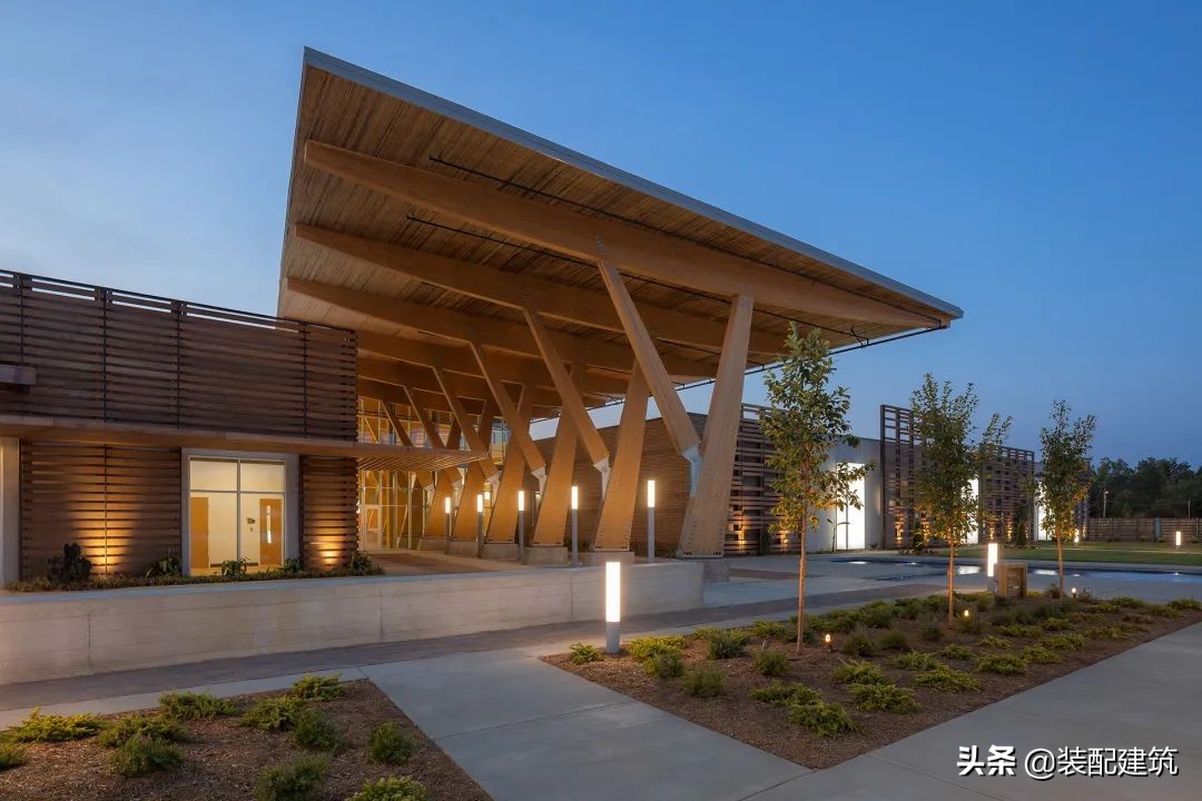 美国设计大奖,美国木雕大赛作品斧子