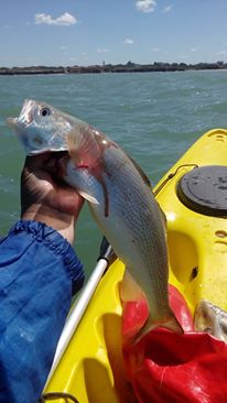 这才是最真实的国外钓鱼人,别崇洋媚外了,原来我们都被骗了