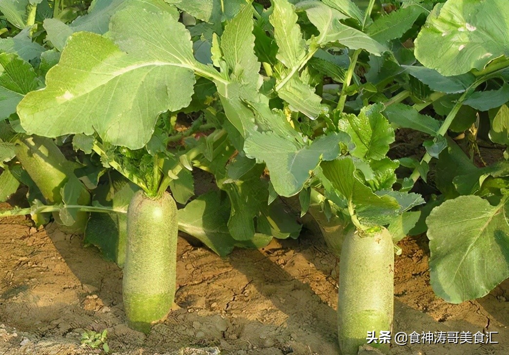 天津每天的一日三餐,天津老年人一日三餐