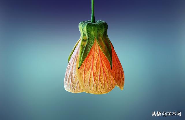 平凡亦不平凡,平凡亦不平凡追梦永无止境