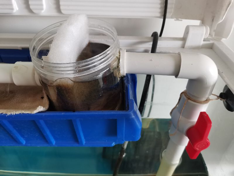 家庭自制鱼缸过滤器,自制鱼缸过滤器虹吸