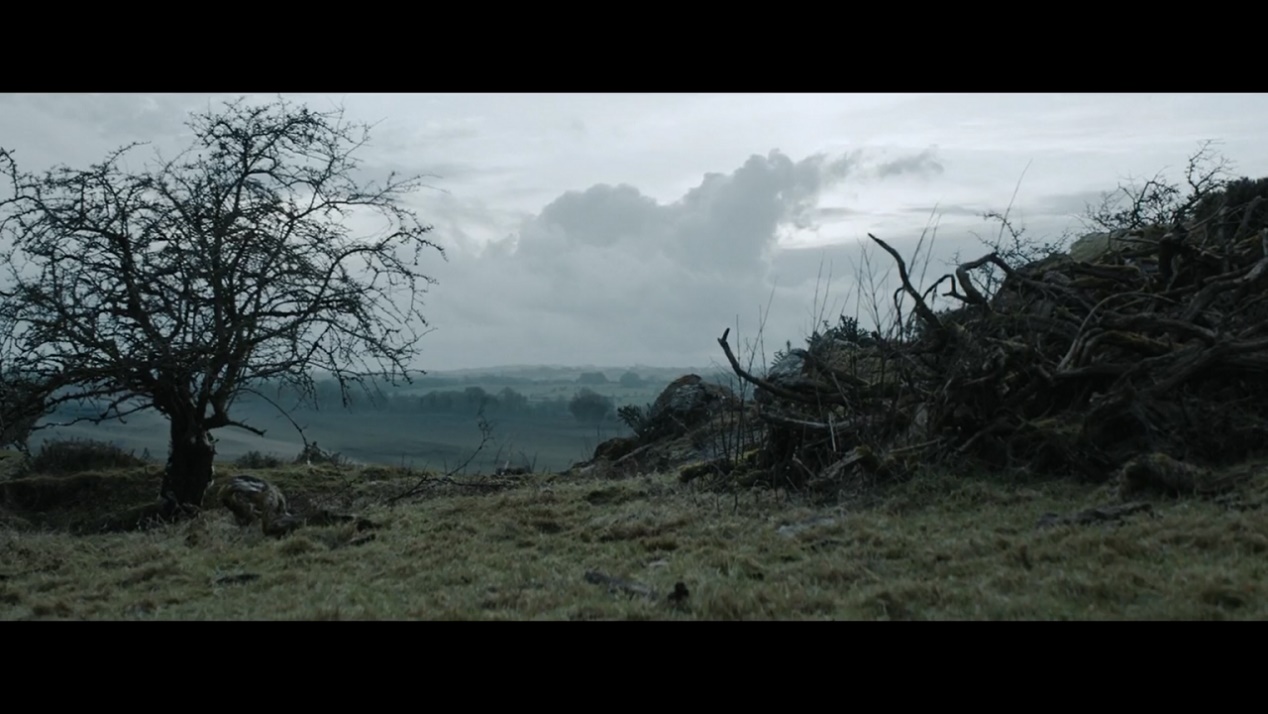 黑色1847对爱尔兰人的影响,黑色1847爱尔兰