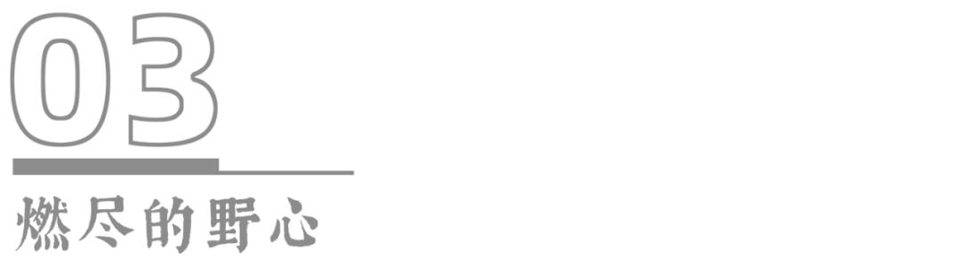 *手党黑**传奇教父＋悲情烂片导演，这部电影是真正的灾难艺术品