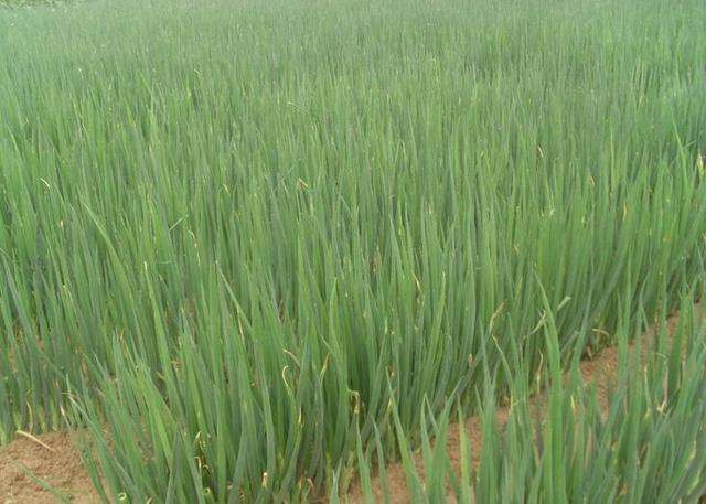 出口转内销的物价会降吗,出口转内销价格表