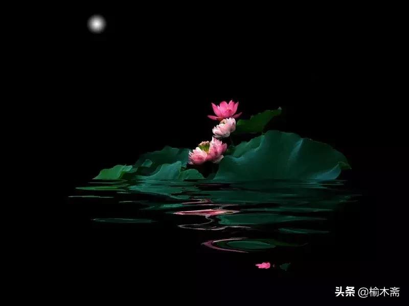 夏夜诗词佳句:松间小槛接波平,月澹烟沉暑气清