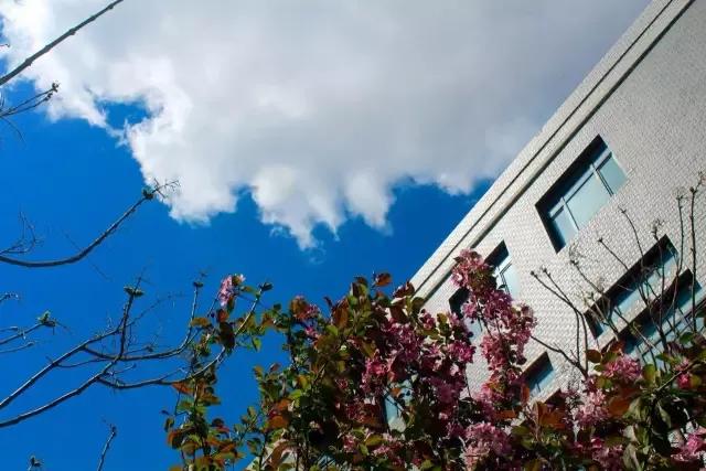 辽宁中医药大学杏林学院规模,辽宁中医学院杏林学院的排名