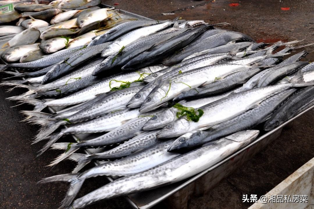 海鲜馅饺子的做法窍门视频,猪肉海鲜饺子馅的做法大全