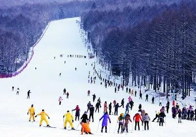 在青岛玩怎么能尽兴,青岛冬季旅游攻略最新消息