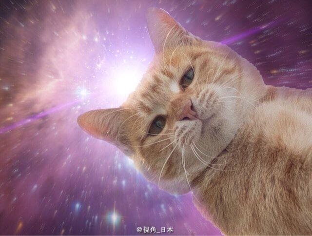 星巴克咖啡高端吗,星巴克咖啡高档吗