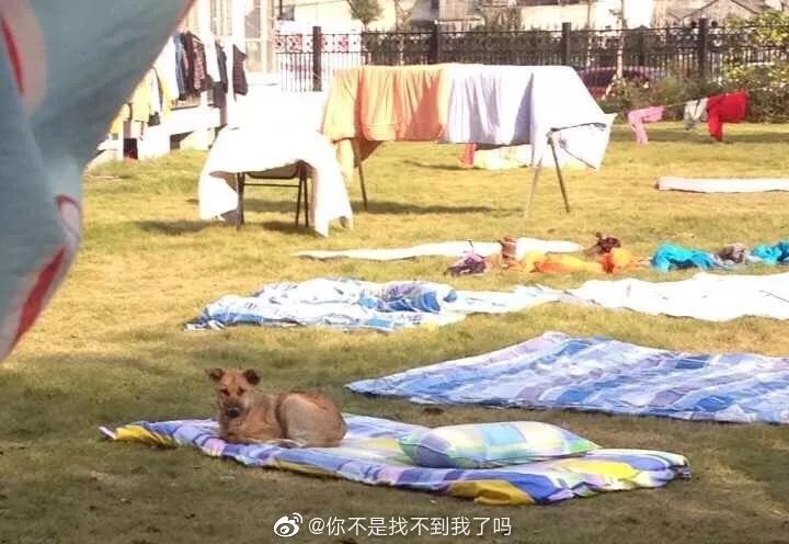 闉嬪瓙琚滃瓙琚埆浜哄伔,闉嬪瓙琚滃瓙琚伔