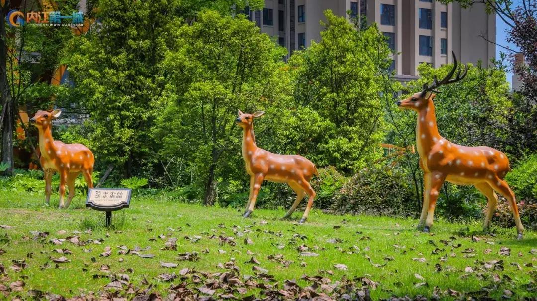 内江体育馆有室内运动场吗,内江健身运动