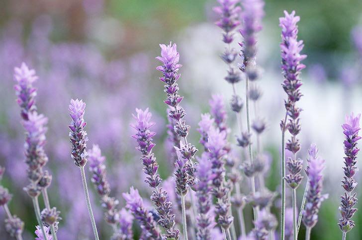 母亲太强势我不愿和她相处,母亲太强势从不考虑我的意见