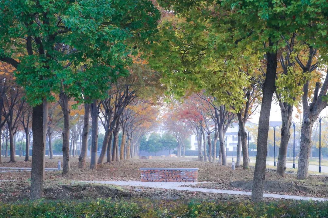 江苏省高校(六十六)苏州大学应用技术学院