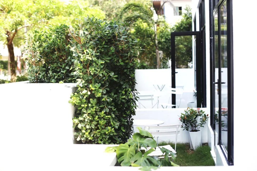 200左右民宿,三亚200元左右的民宿