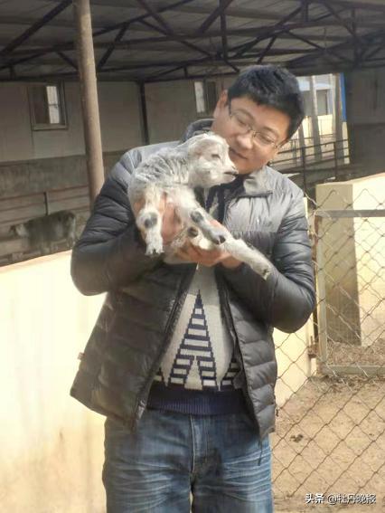 2022年菏泽市十大杰出青年,菏泽农村青年创业