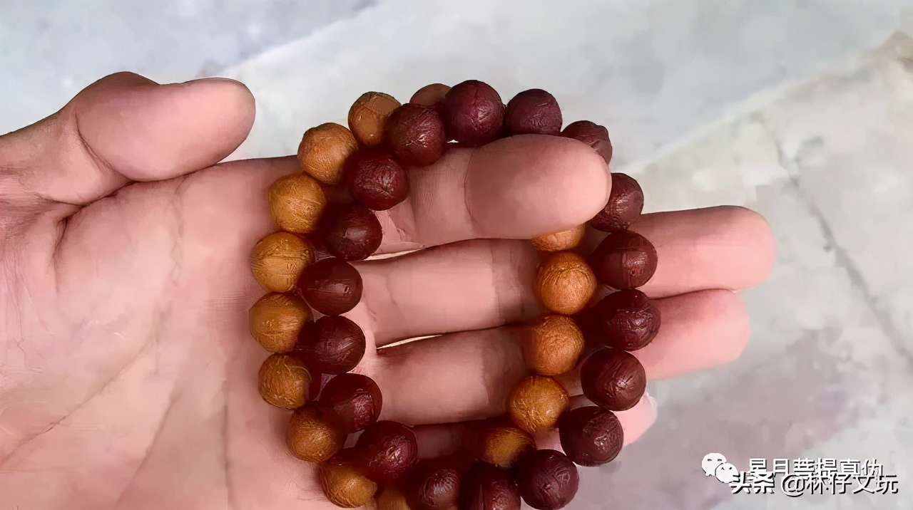 凤眼菩提盘玩讲解视频,凤眼菩提完整视频