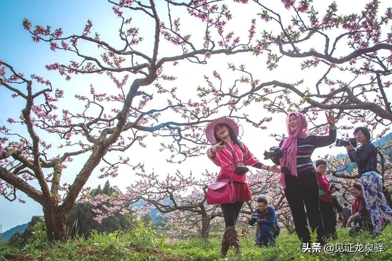 回眸十三五巨变,回眸十三五成果