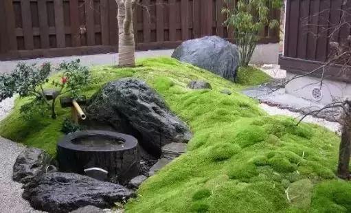 禅意庭院一定要用苔藓吗,禅意苔藓微景观制作视频