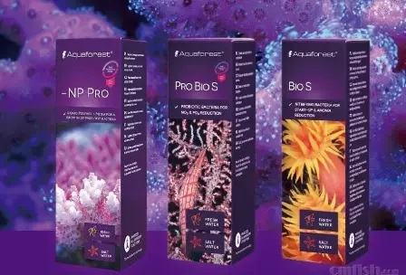 海水鱼缸如何降氨氮最好,海水鱼缸怎么区别营养盐高低