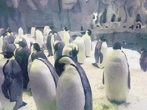 珠海长隆海洋王国附近住宿攻略,珠海长隆海洋王国三人住两天一夜