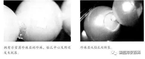 珍珠价格的影响因素,影响珍珠质量的因素