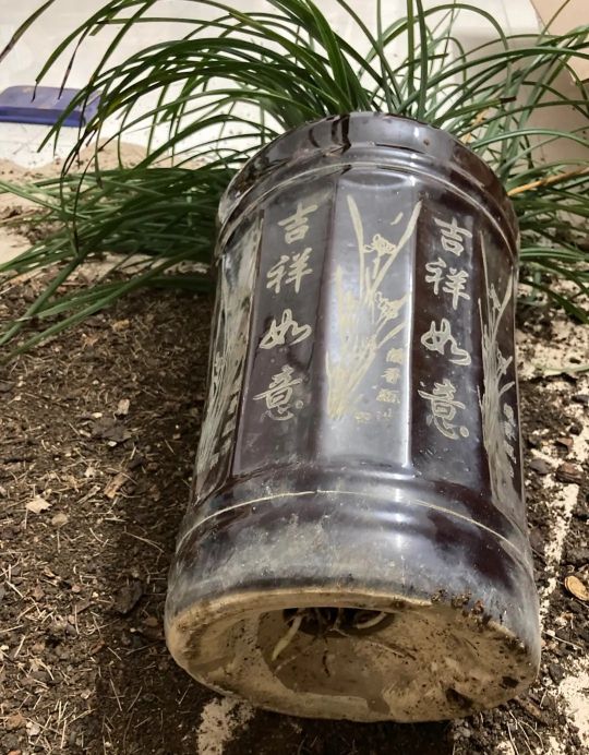 客厅高端大气摆件青花瓷盆,闲置花瓷盆放什么好
