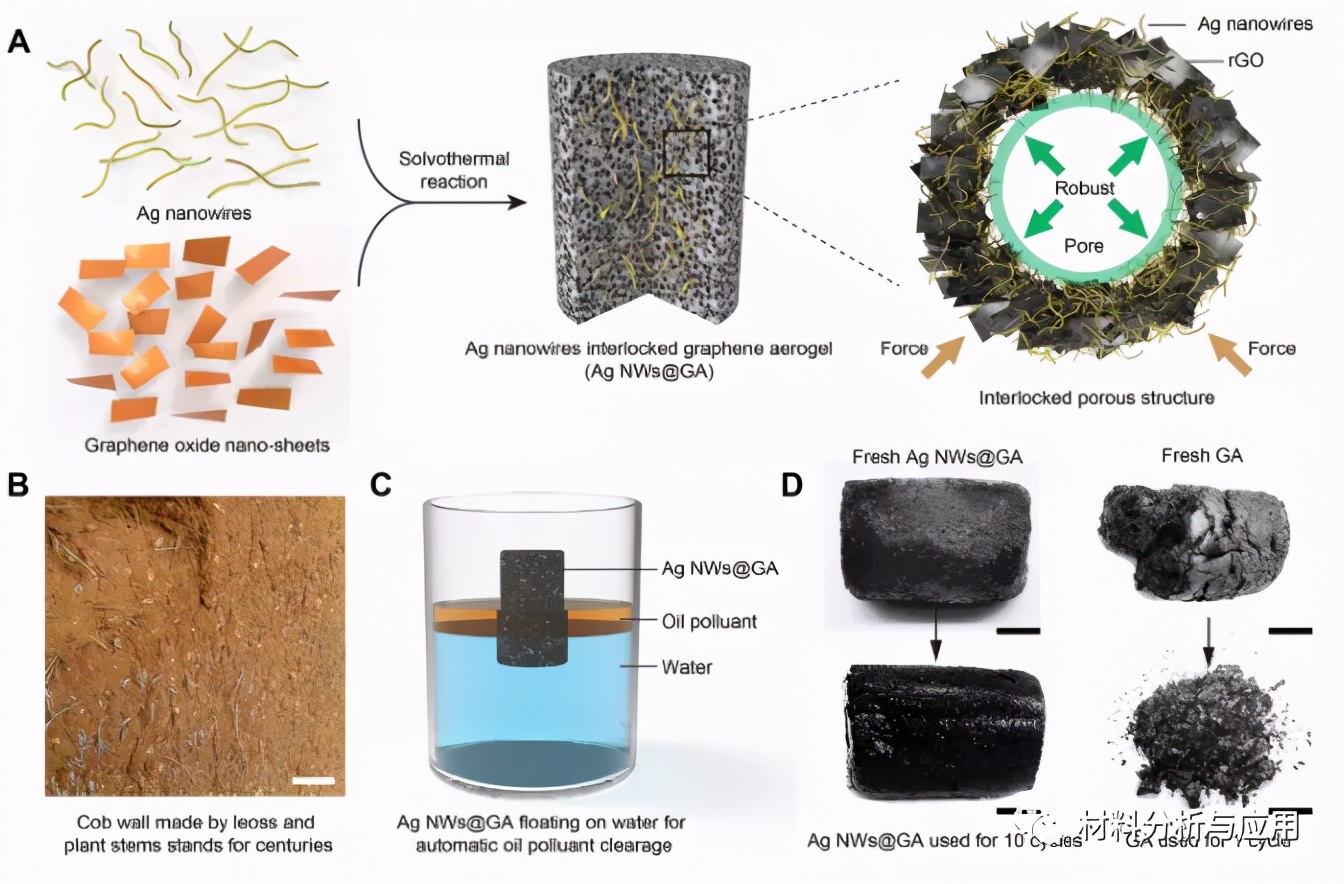 姝﹀ぇ鐮斿彂琚姩鏁ｇ儹鍑濊兌,姝﹀ぇ鐗硅壊鍒跺墏