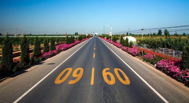 大荔跑跑卡丁车,大荔跑驴车