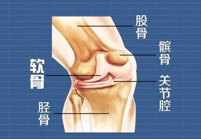 关节磨损引起的关节疼怎么办,运动虽好但也要保护好关节