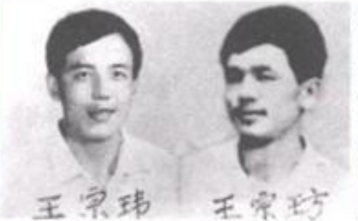 东北二王特大杀人案,东北二王特大杀人案的主角