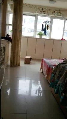 伸舌头的小鹿犬,爱洗澡的小鹿犬