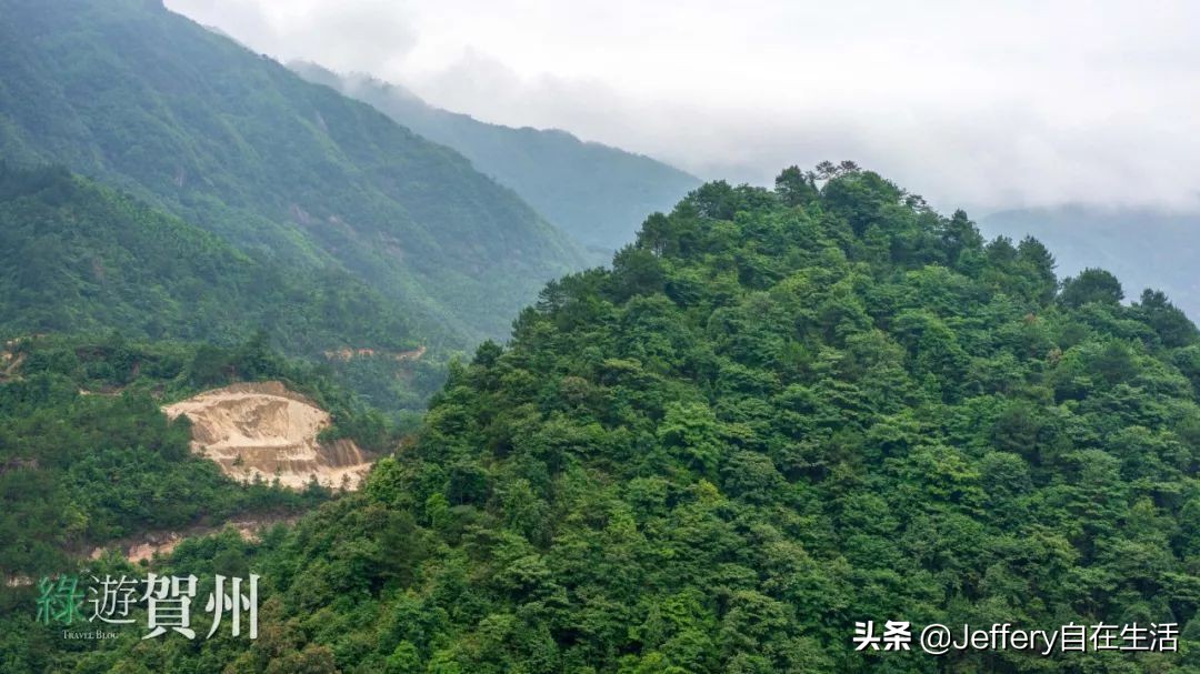 拍贺州｜莲塘镇大山深处的“一号基地”