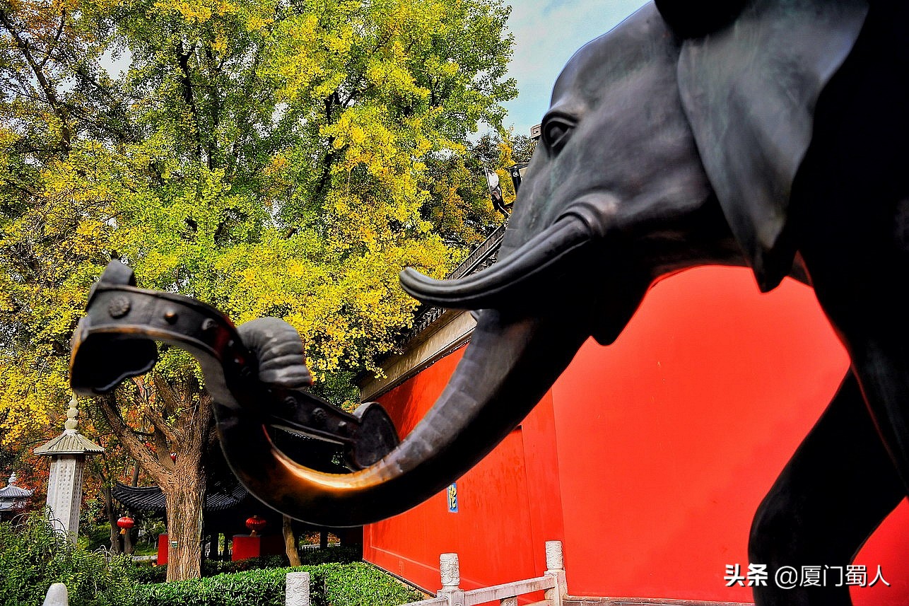 南京四大赏枫地 (南京赏枫胜地)