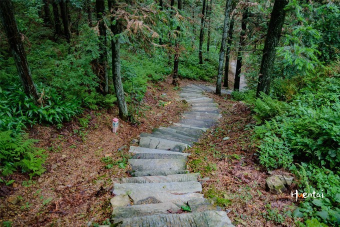 一下雨徽州就成了水墨色,安徽石台避暑胜地