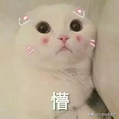 aci注册心理咨询师证书,国际注册心理咨询师报考条件