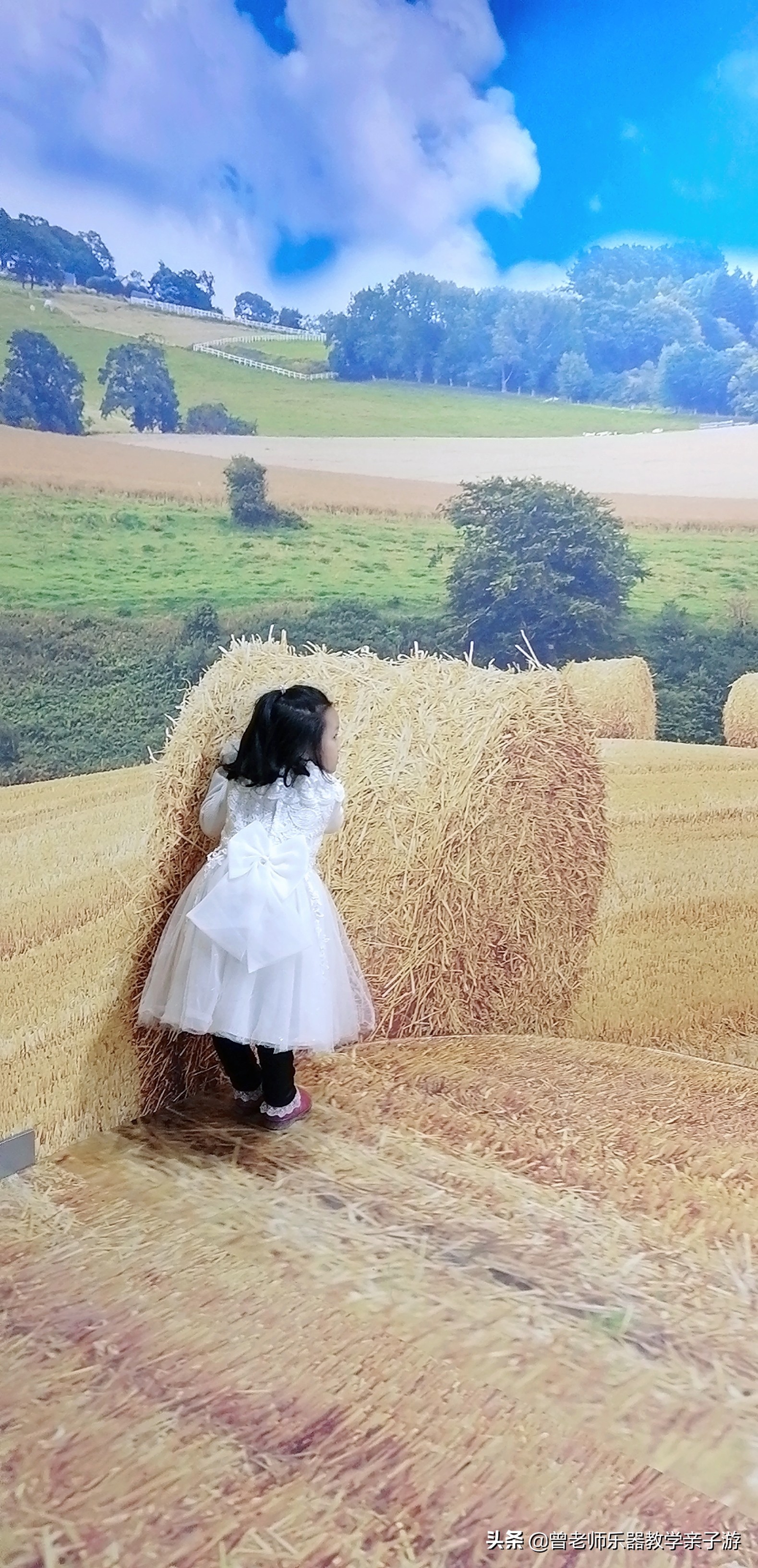 爱菊研学游,爱菊丝路文化菊花园西安