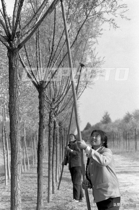 榆林市八十年代 (榆林市制革厂老照片)