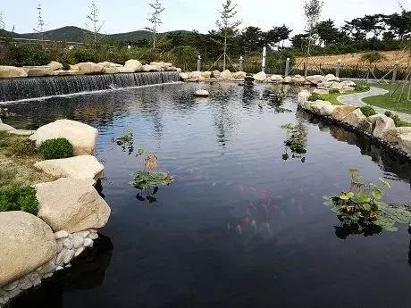 被列入重点排污名单,排污口被查