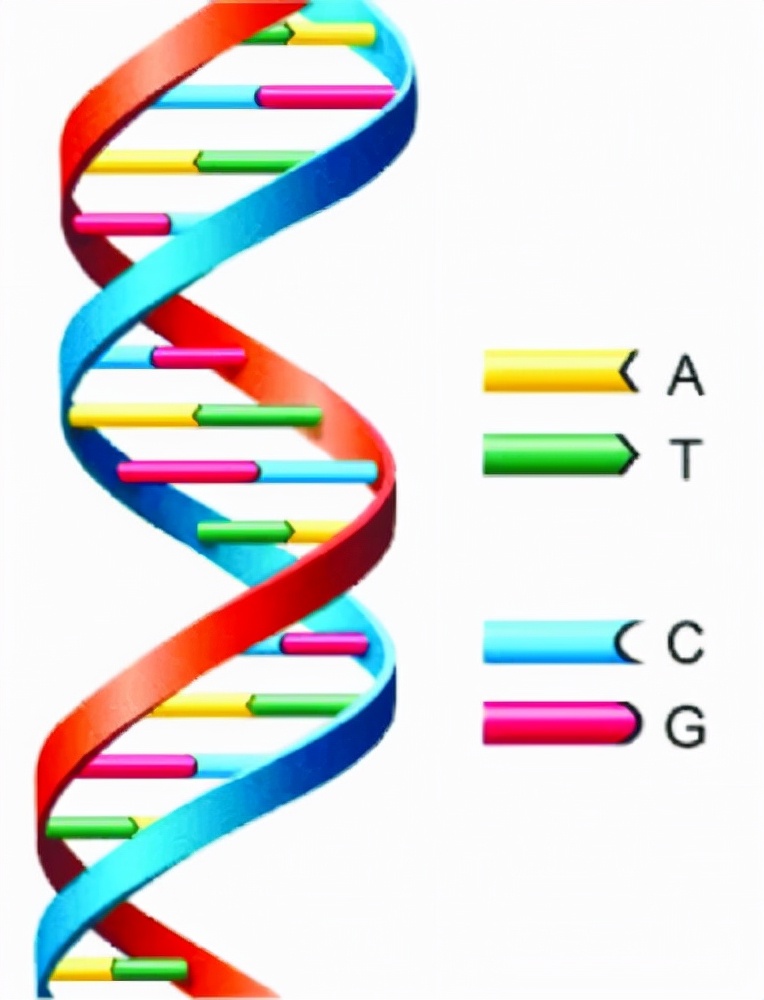 中国儿科医院漏斗胸,郴州市第一人民医院漏斗胸手术