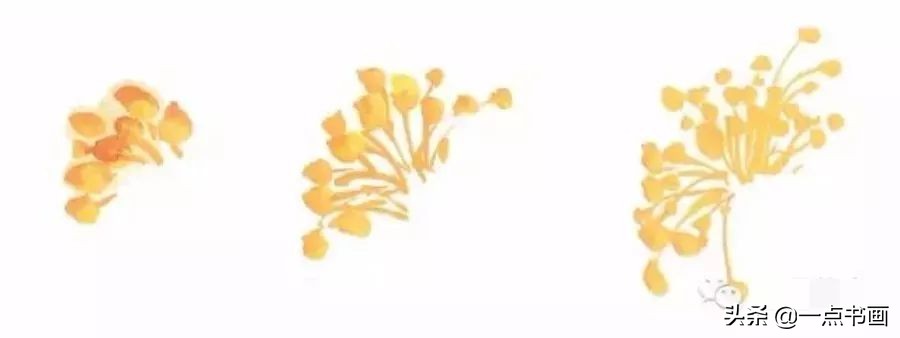 王绣写意牡丹画法步骤,王兮然写意牡丹画法视频大全