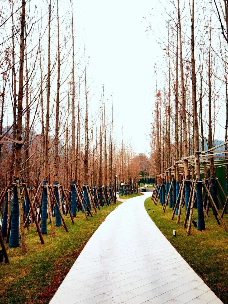 贵阳世外桃源人间仙境,贵阳世外桃源旅游攻略