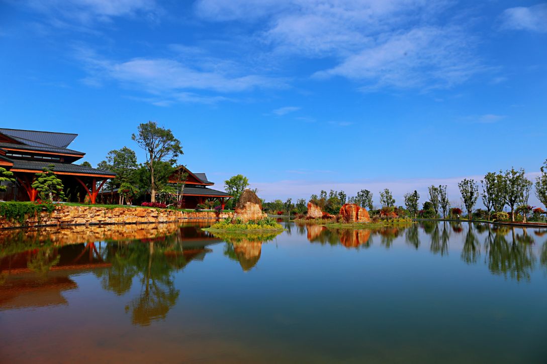 弥勒太平湖森林木屋酒店团购直播,弥勒太平湖森林木屋酒店有温泉