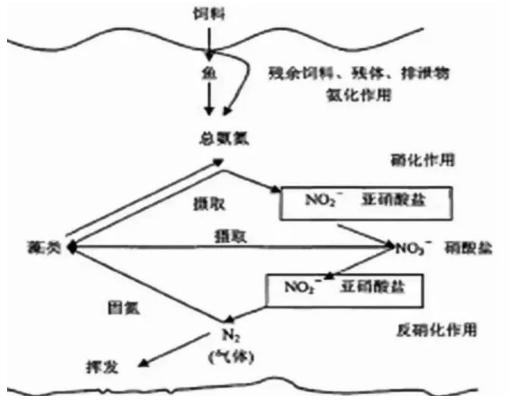 大量食用亚硝酸盐还能救得回来吗,如何避免或减少亚硝酸盐