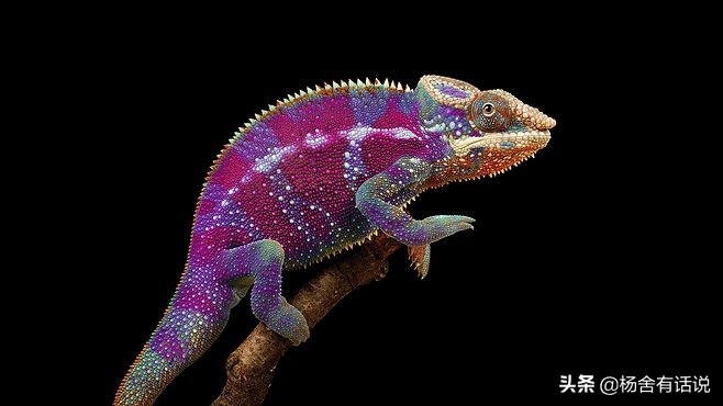 守宫砂是什么现代有吗,守宫砂真的能验到女人吗